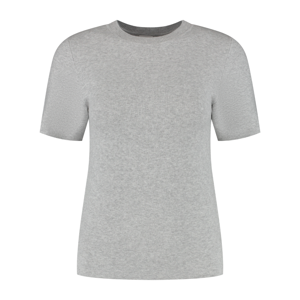 Olly Regular Short Sleeve Tee - Grey Melange