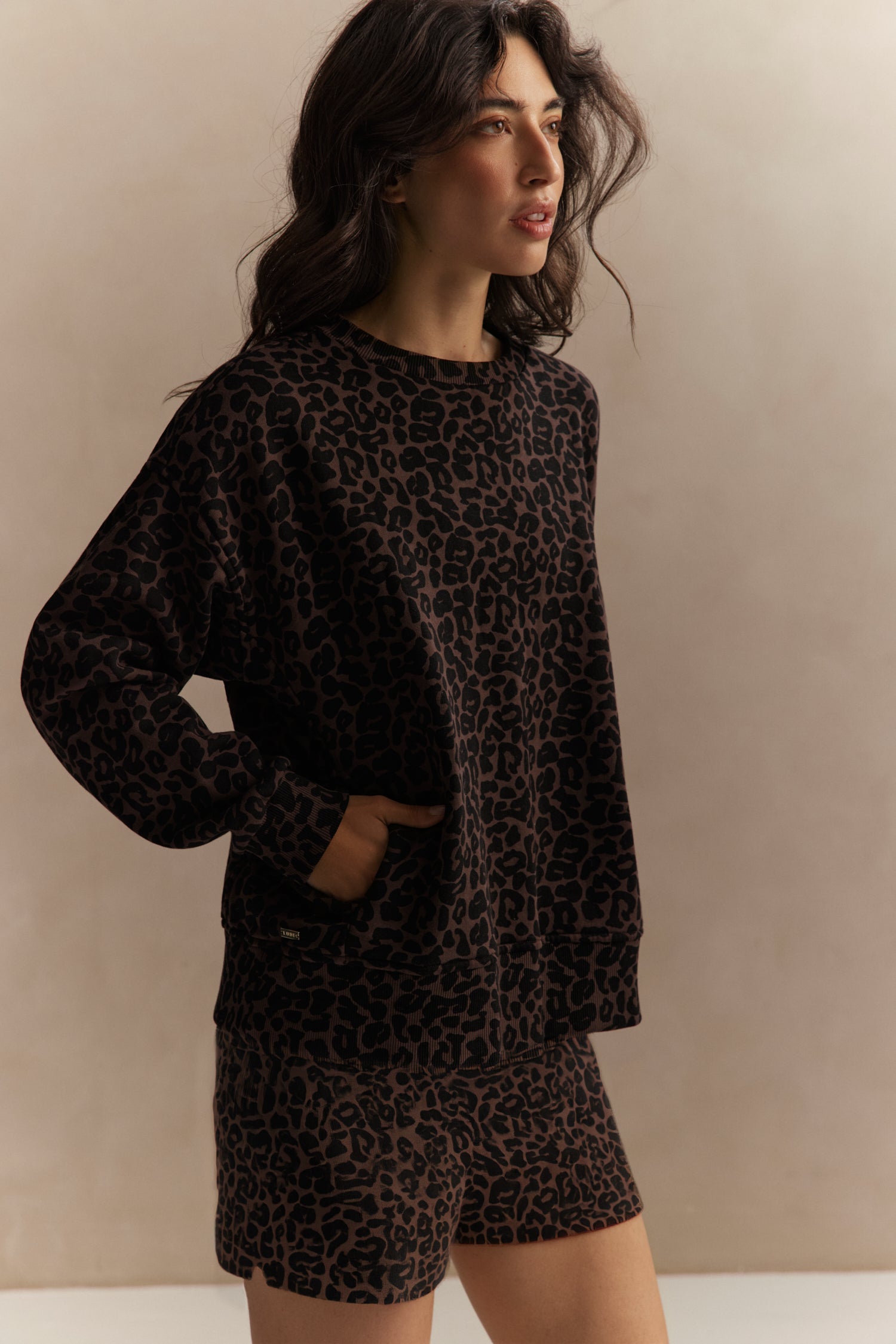 Zane Crewneck Sweater - Leopard